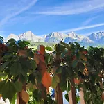 Apartment Erlenhof Maria Alm am Steinernen Meer