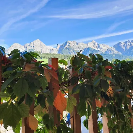 Lejlighed Erlenhof Maria Alm am Steinernen Meer